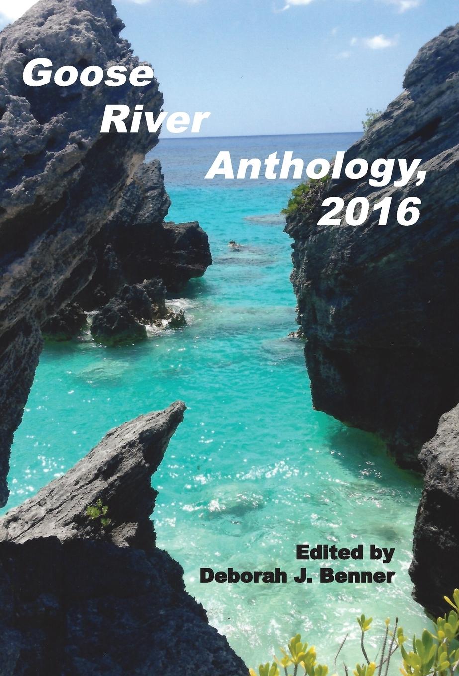 Vorderes Coverbild Goose River Anthology, 2016