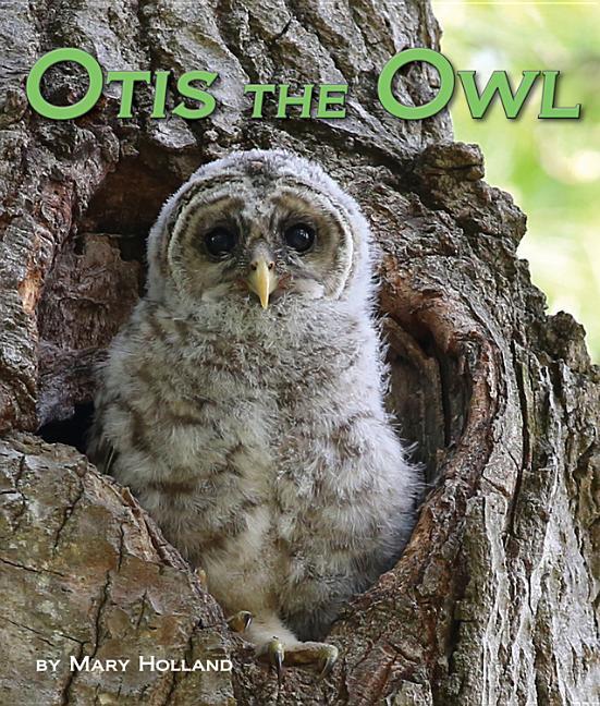 Vorderes Coverbild Otis the Owl