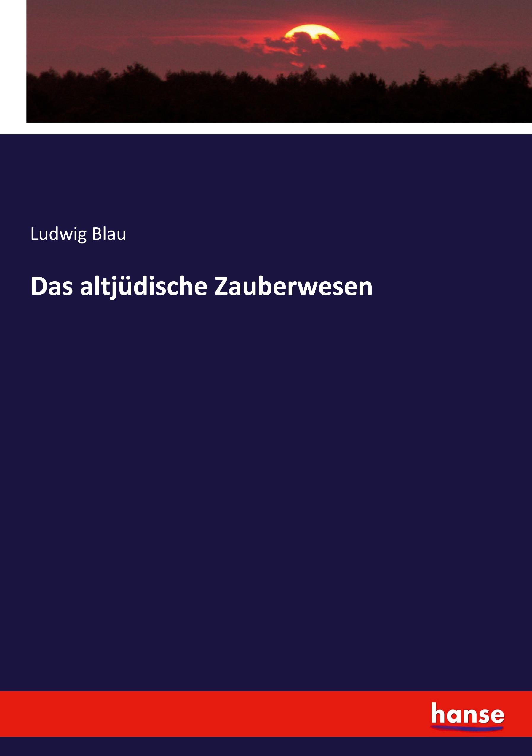 Vorderes Coverbild Das altjüdische Zauberwesen