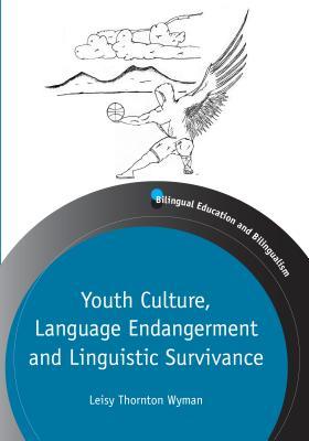 Vorderes Coverbild Youth Culture, Language Endangerment and Linguistic Survivance