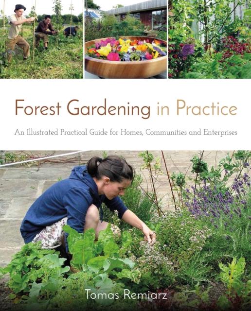 Vorderes Coverbild Forest Gardening in Practice: An Illustrated Practical Guide for Homes, Communities and Enterprises