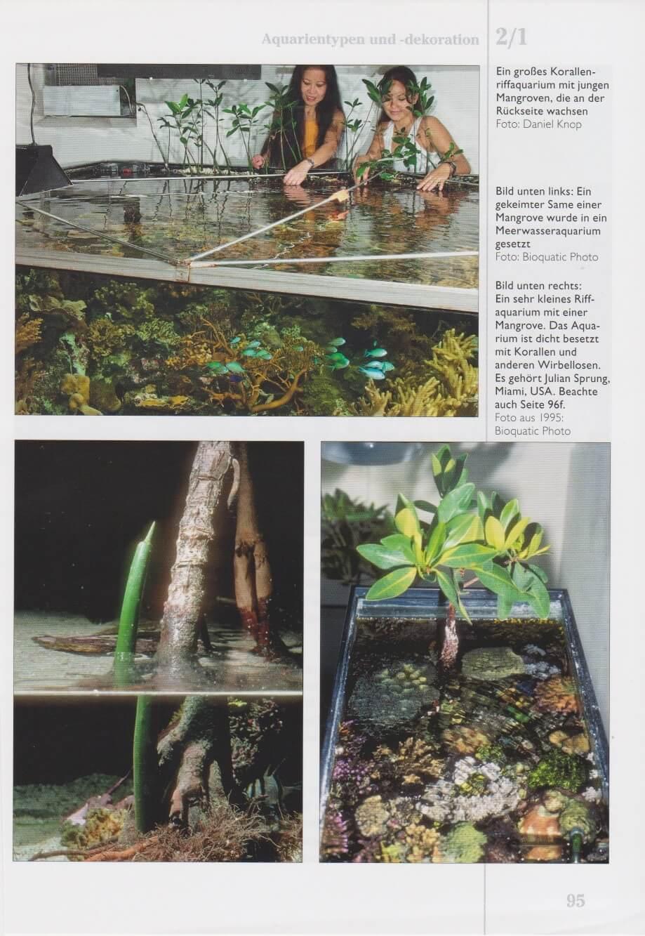 Beispielinhalt (Bild) Das Korallenriff-Aquarium - Band 2