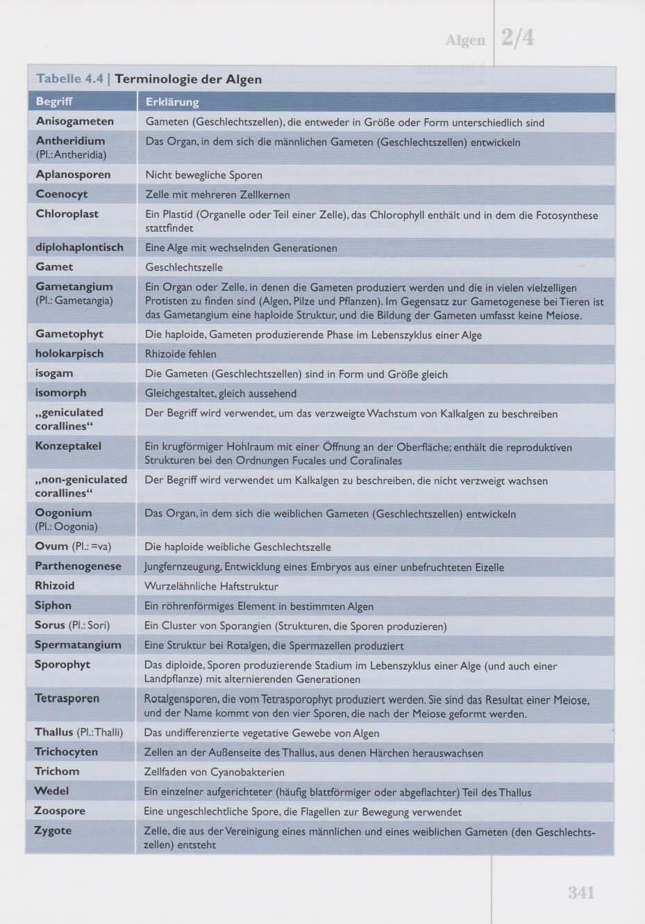 Beispielinhalt (Bild) Das Korallenriff-Aquarium - Band 2