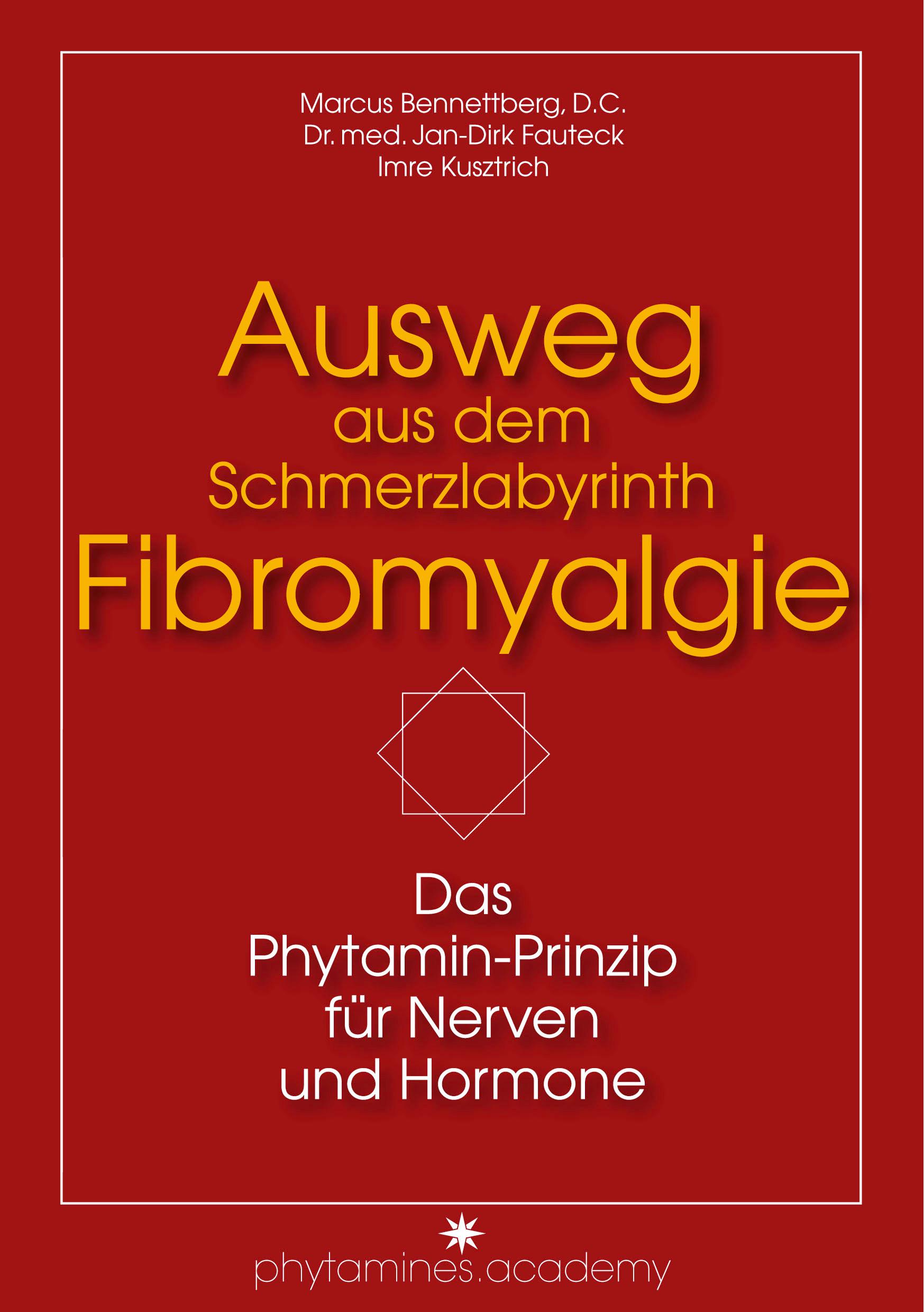 Vorderes Coverbild Ausweg aus dem Schmerzlabyrinth Fibromyalgie
