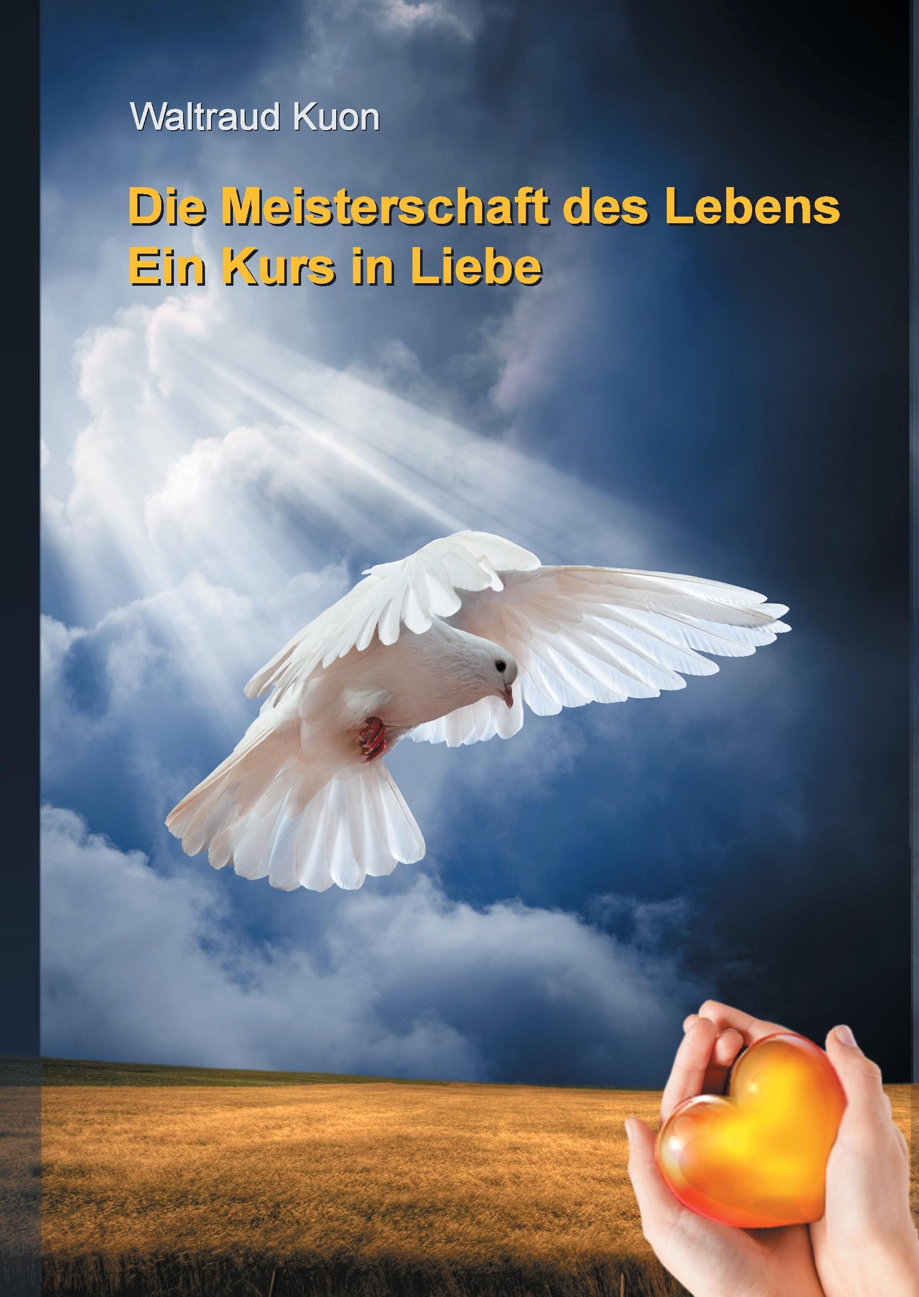 Vorderes Coverbild Die Meisterschaft des Lebens