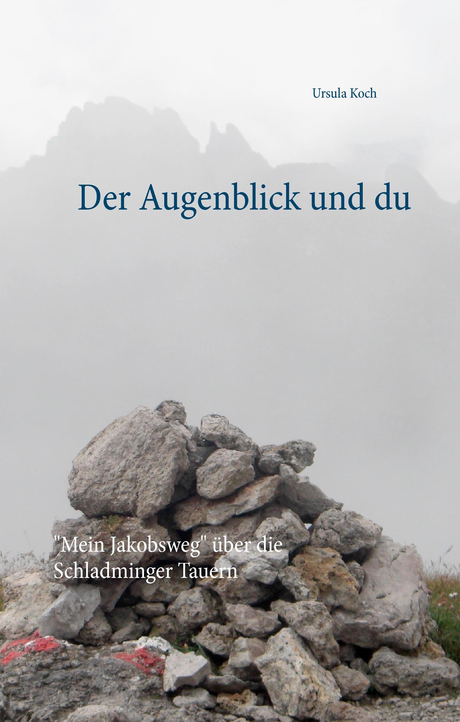 Vorderes Coverbild Der Augenblick und du