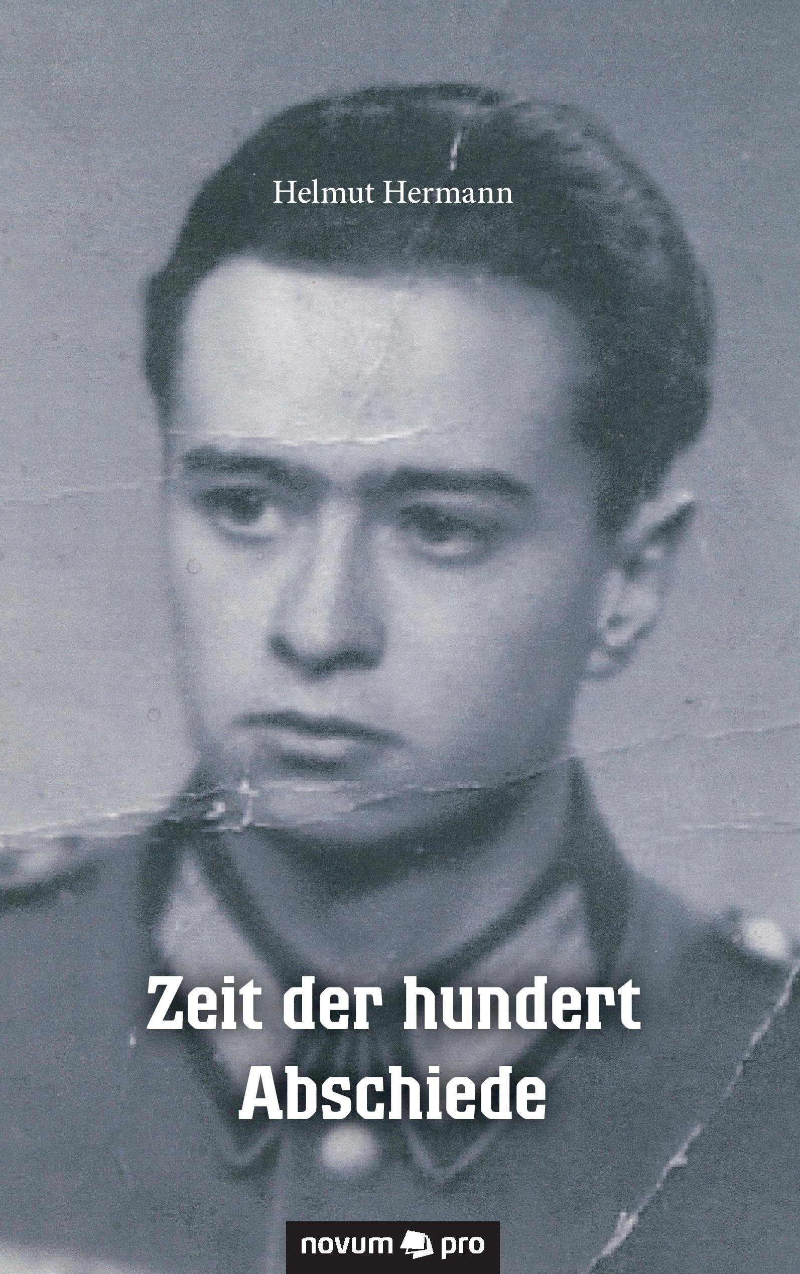 Vorderes Coverbild Zeit der hundert Abschiede