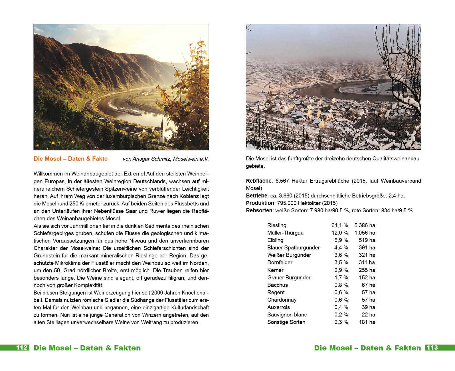 Beispielinhalt (Bild) Weinkompass Mosel