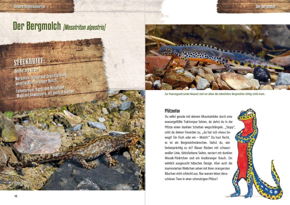 Beispielinhalt (Bild) Abenteuer heimische Amphibien