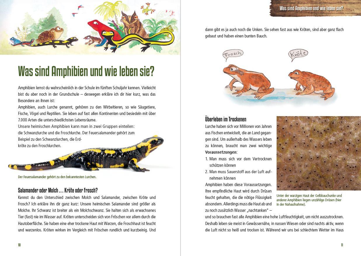 Beispielinhalt (Bild) Abenteuer heimische Amphibien