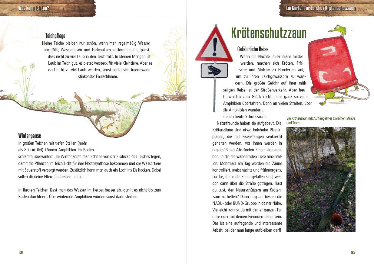 Beispielinhalt (Bild) Abenteuer heimische Amphibien