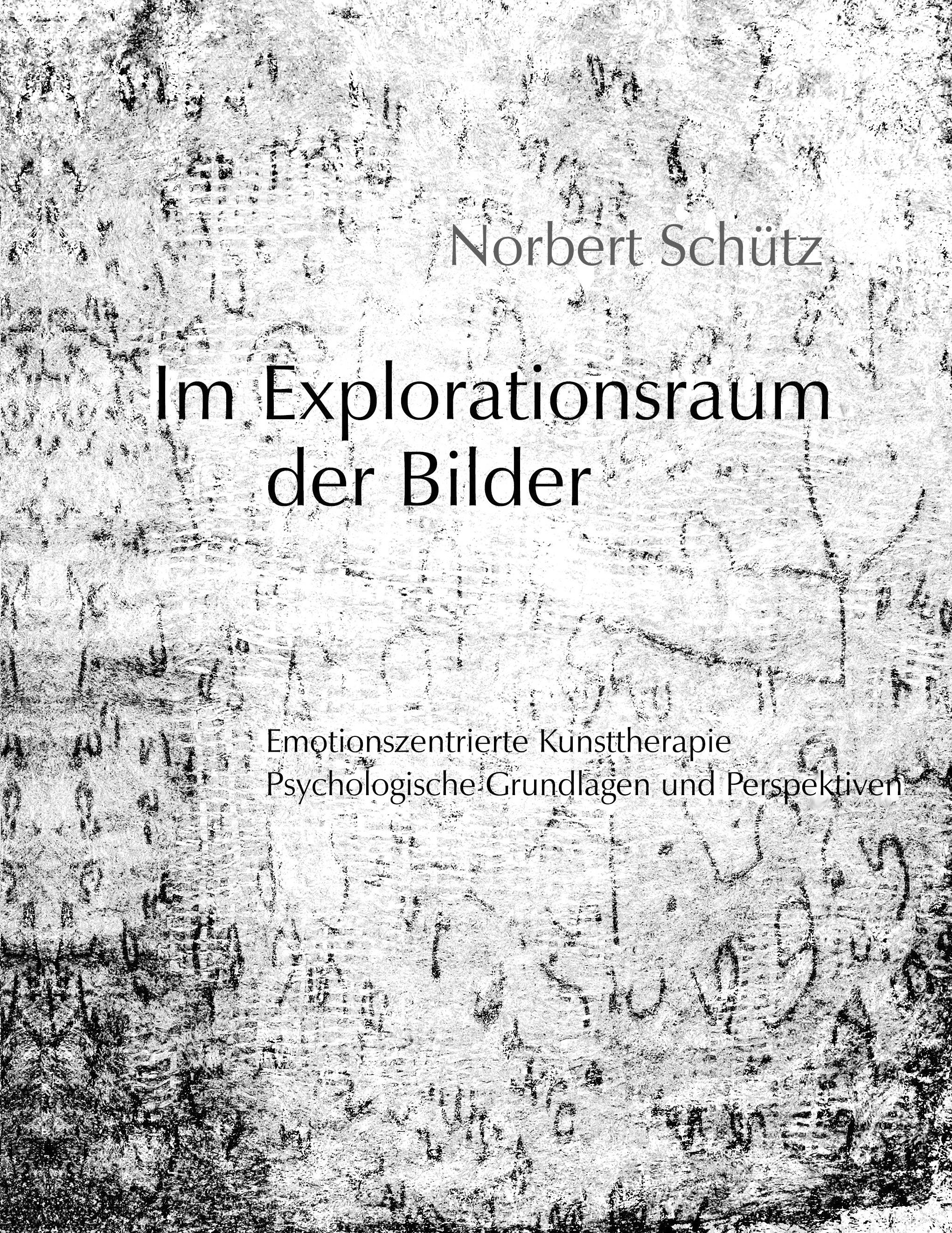 Vorderes Coverbild Im Explorationsraum der Bilder