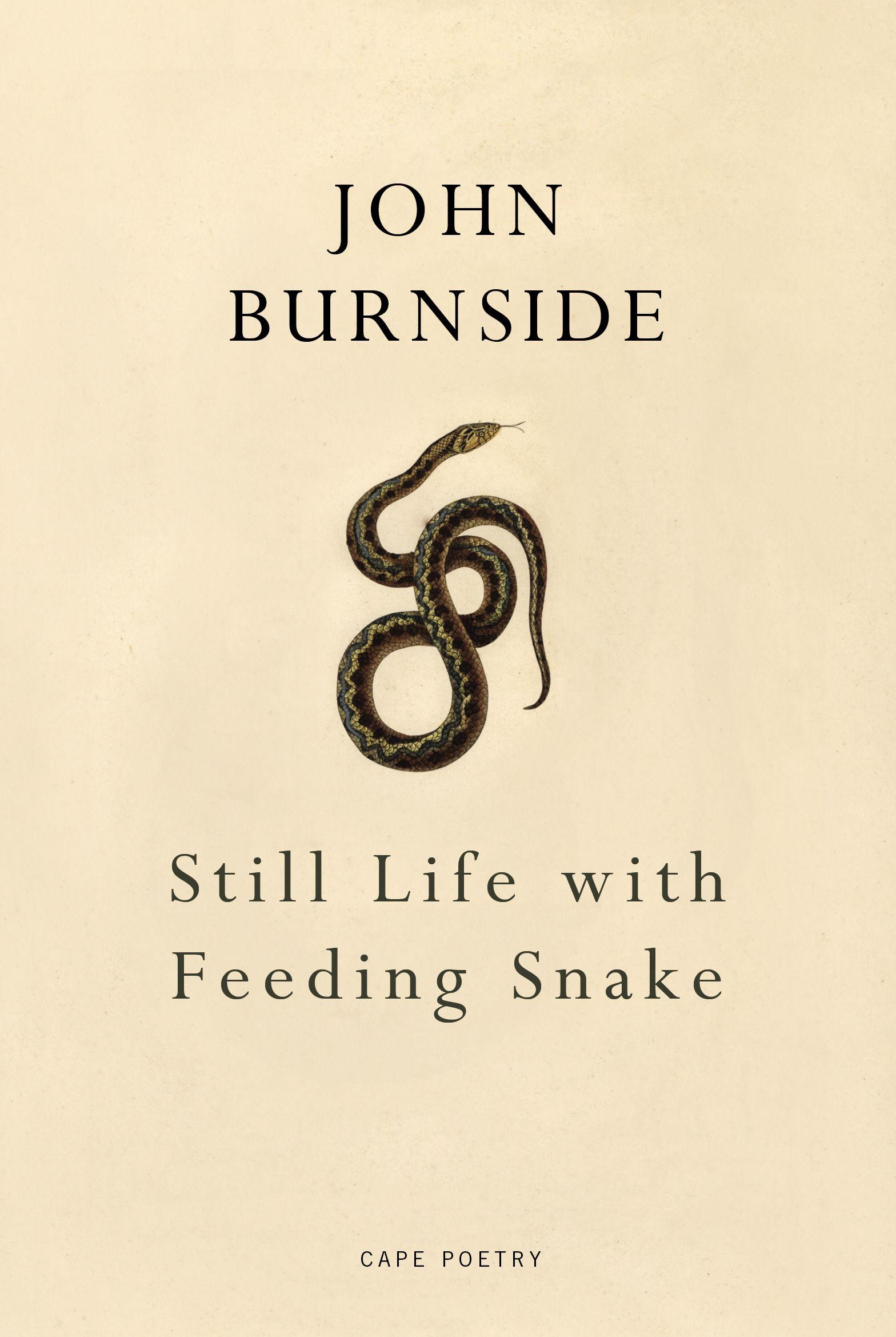 Vorderes Coverbild Still Life with Feeding Snake