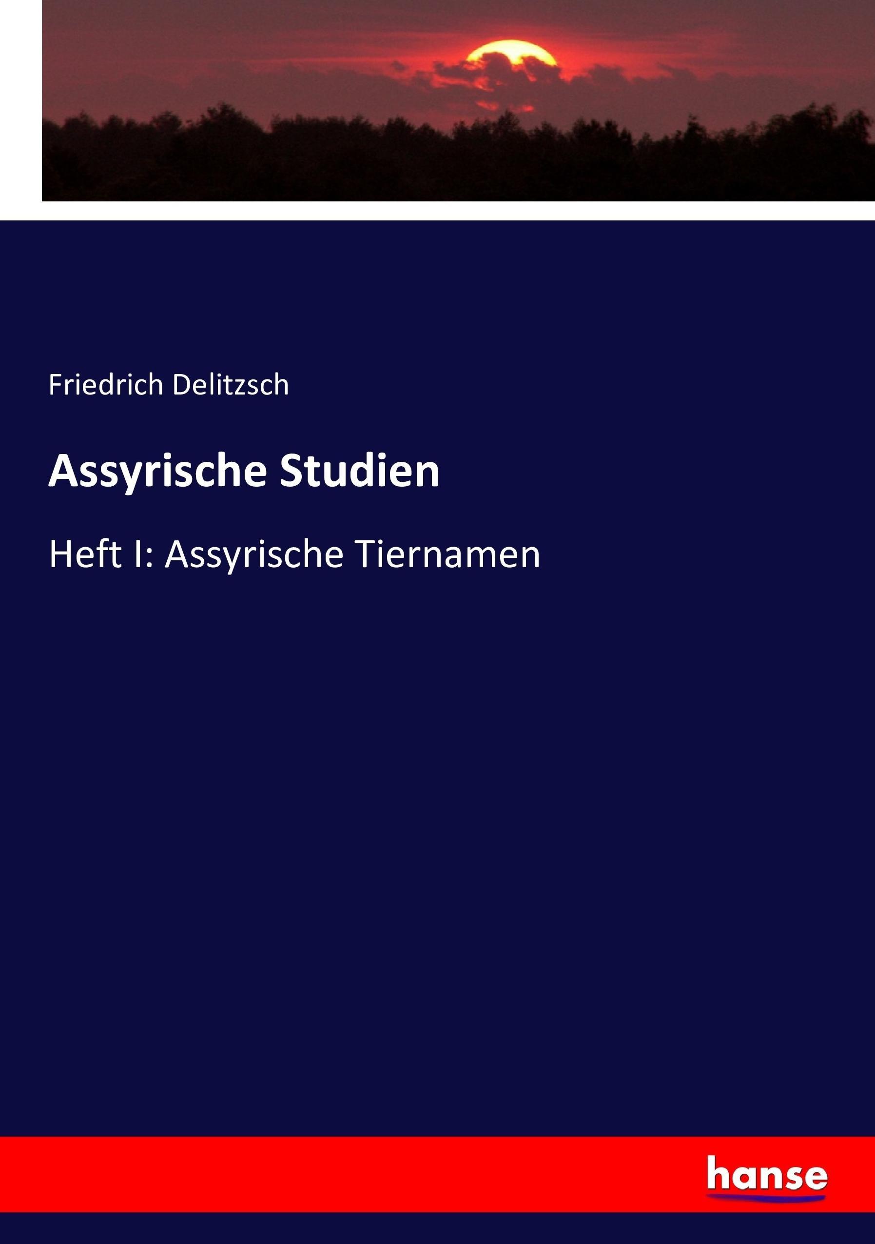 Vorderes Coverbild Assyrische Studien