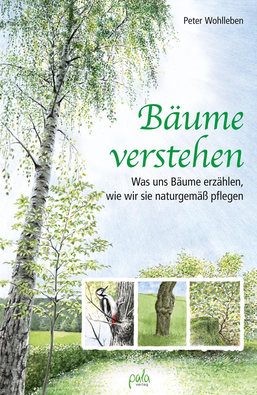 Vorderes Coverbild Bäume verstehen