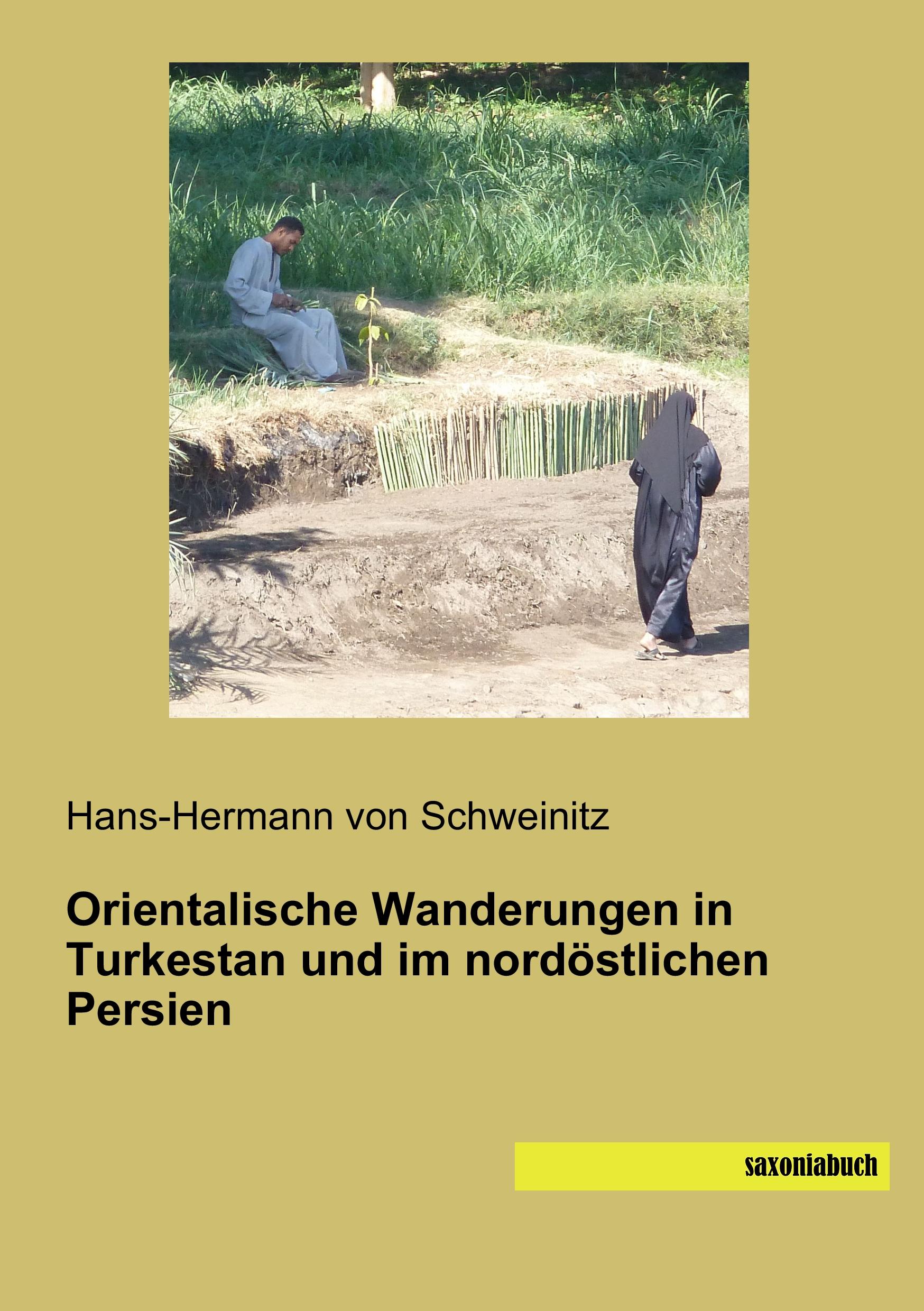 Vorderes Coverbild Orientalische Wanderungen in Turkestan und im nordöstlichen Persien
