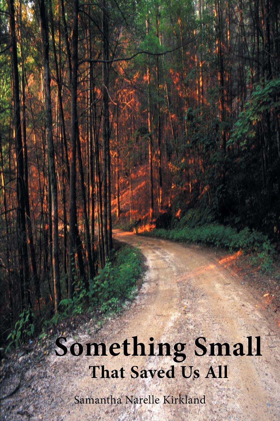 Vorderes Coverbild Something Small That Saved Us All