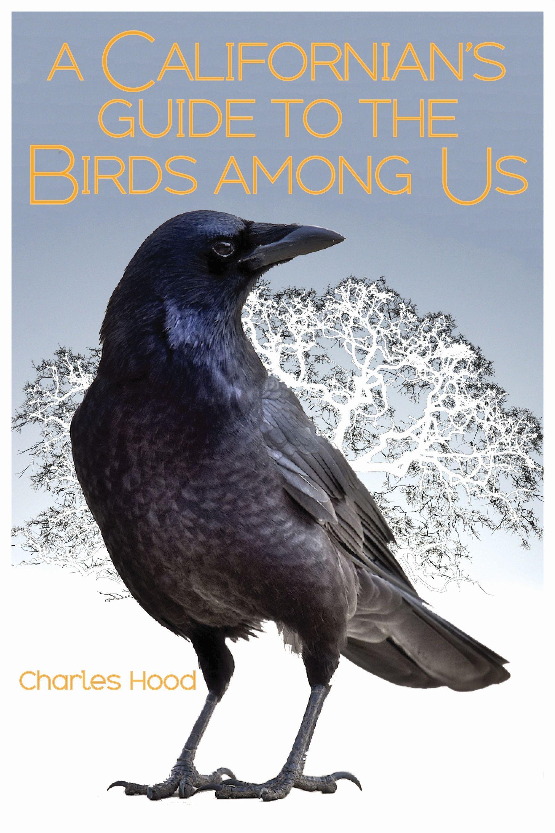 Vorderes Coverbild A Californian's Guide to the Birds Among Us