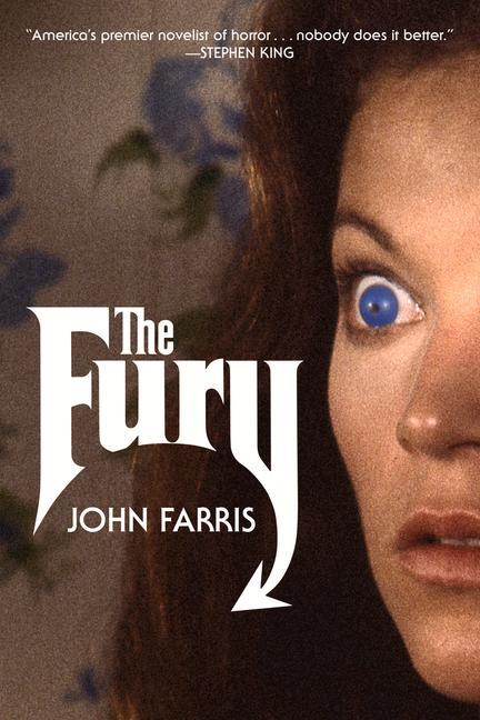 Vorderes Coverbild The Fury