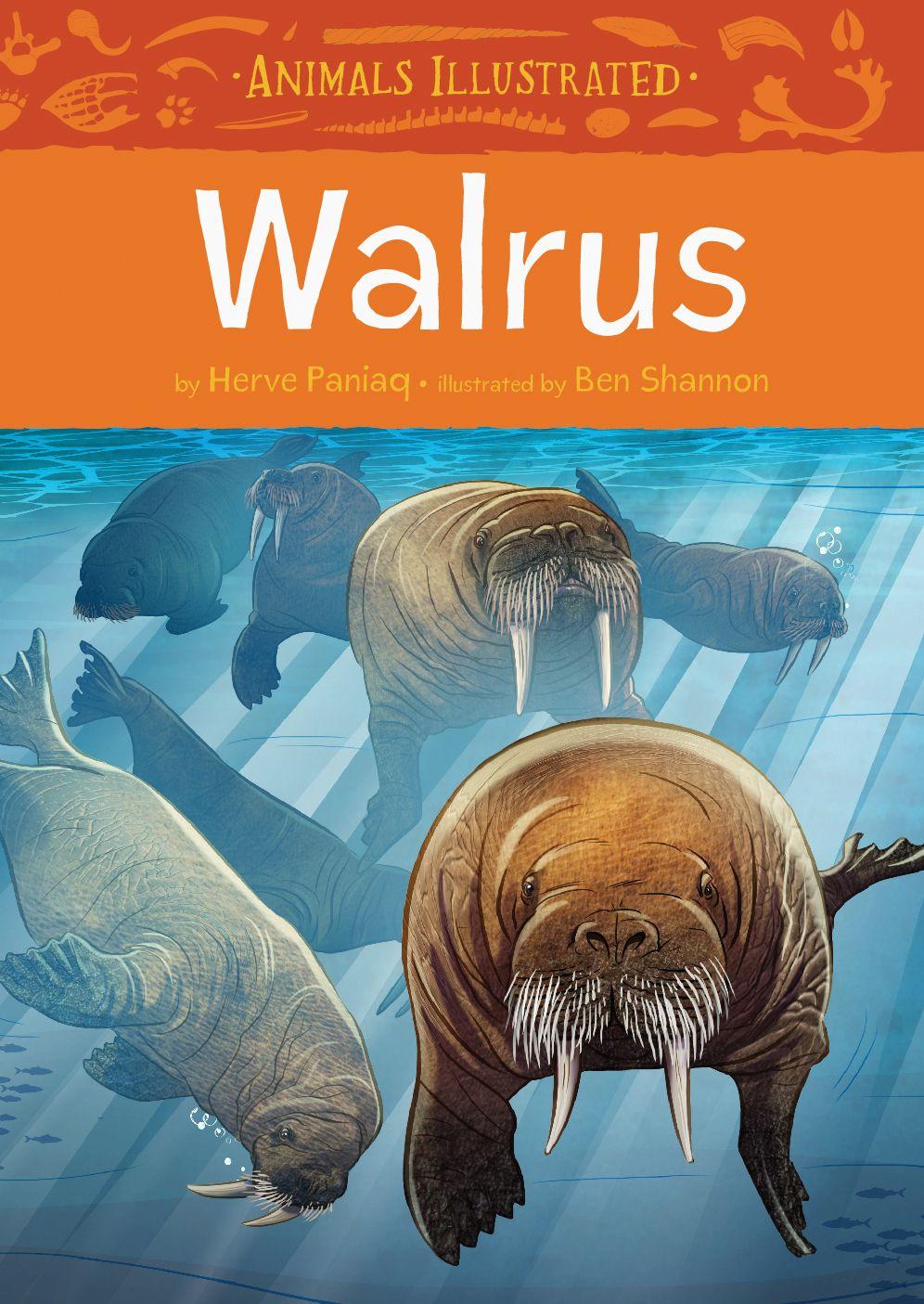 Vorderes Coverbild Animals Illustrated: Walrus