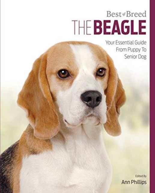 Vorderes Coverbild Beagle