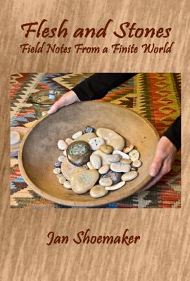 Vorderes Coverbild Flesh and Stones: Field Notes from a Finite World