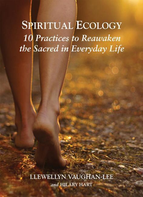 Vorderes Coverbild Spiritual Ecology