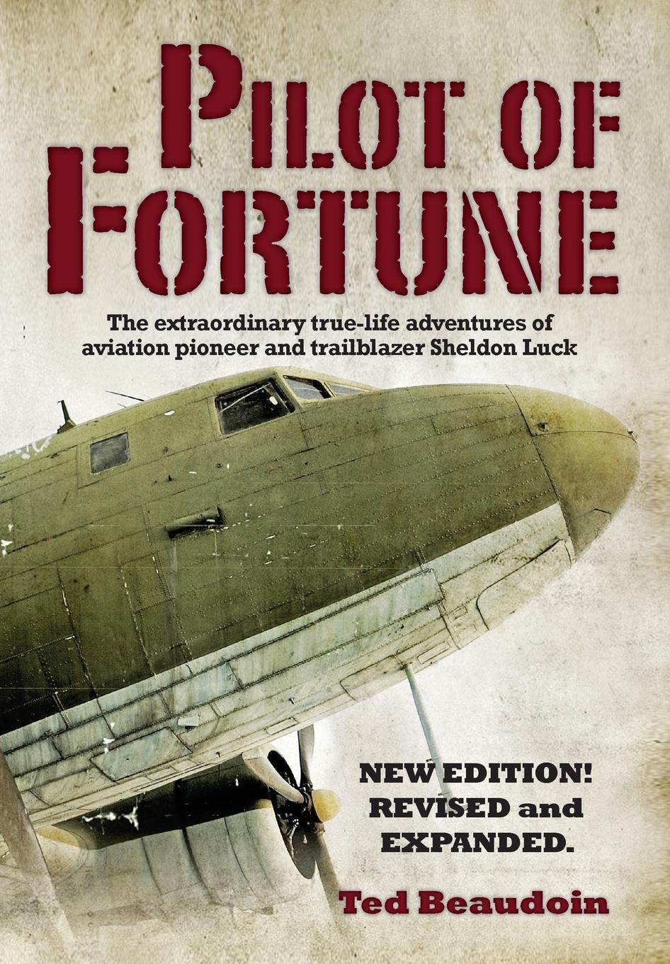 Vorderes Coverbild Pilot of Fortune