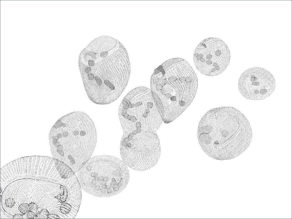 Beispielinhalt (Bild) Val di Non