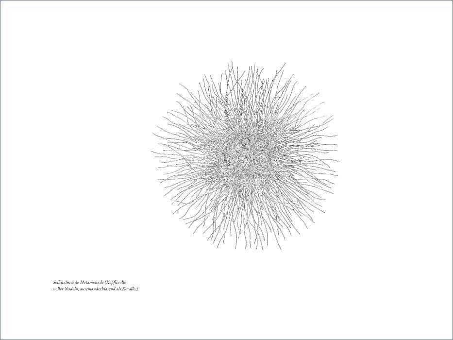 Beispielinhalt (Bild) Val di Non