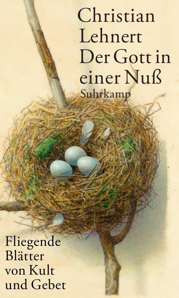 Vorderes Coverbild Der Gott in einer Nuß