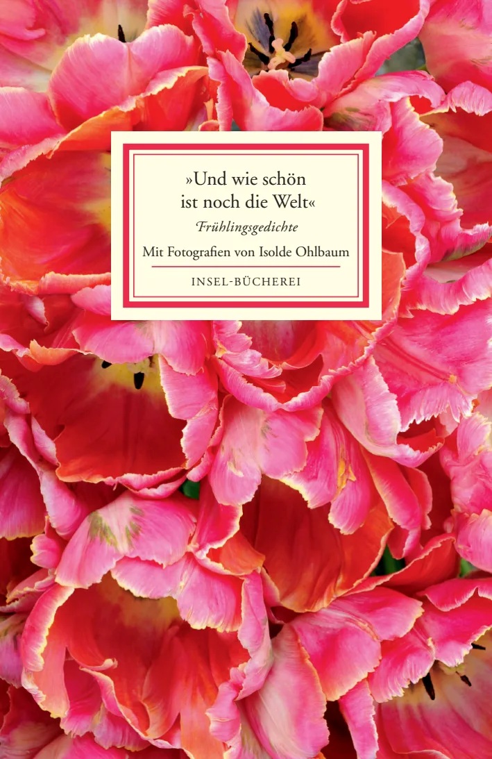 Vorderes Coverbild »Und wie schön ist noch die Welt«