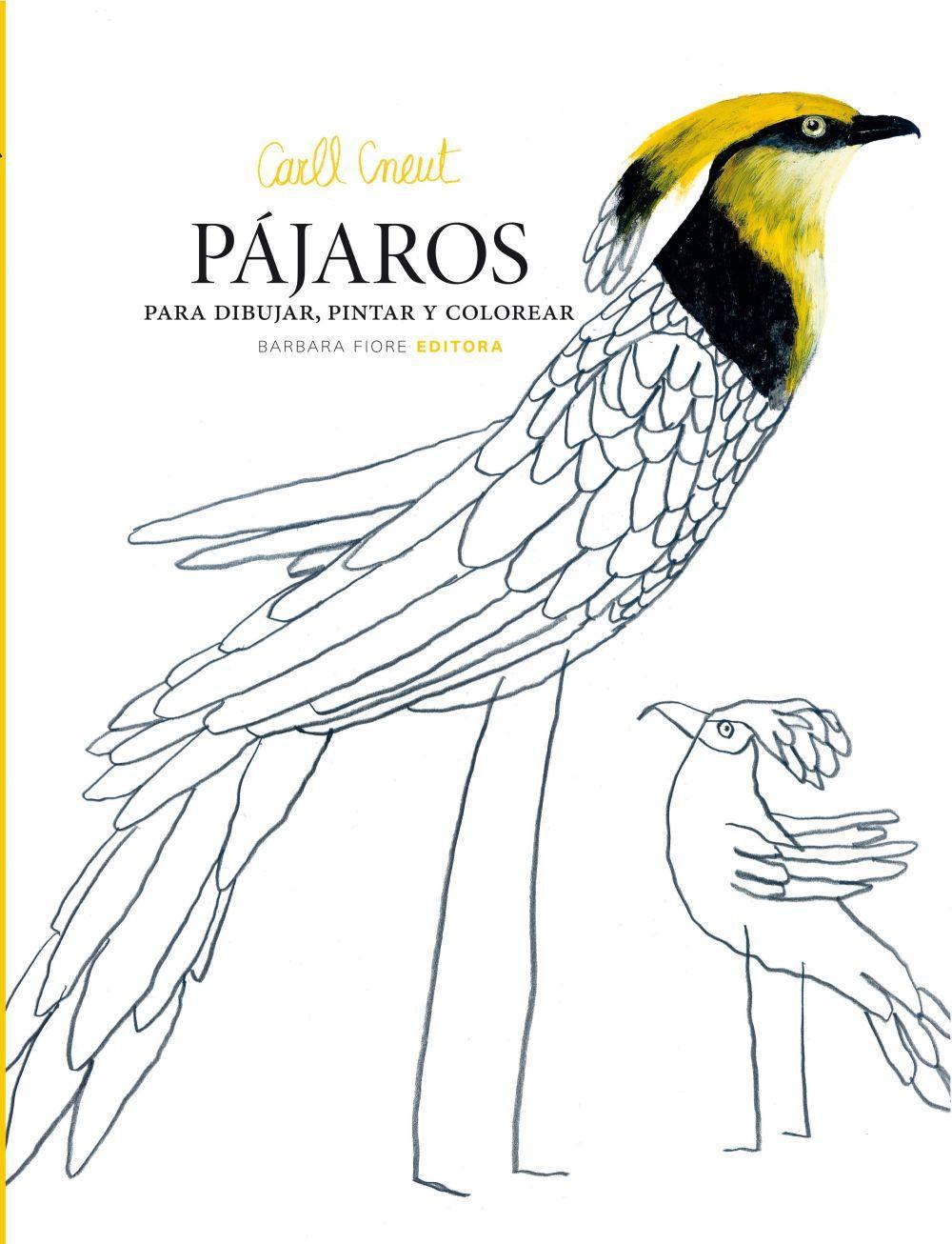 Vorderes Coverbild Pájaros para dibujar, pintar y colorear