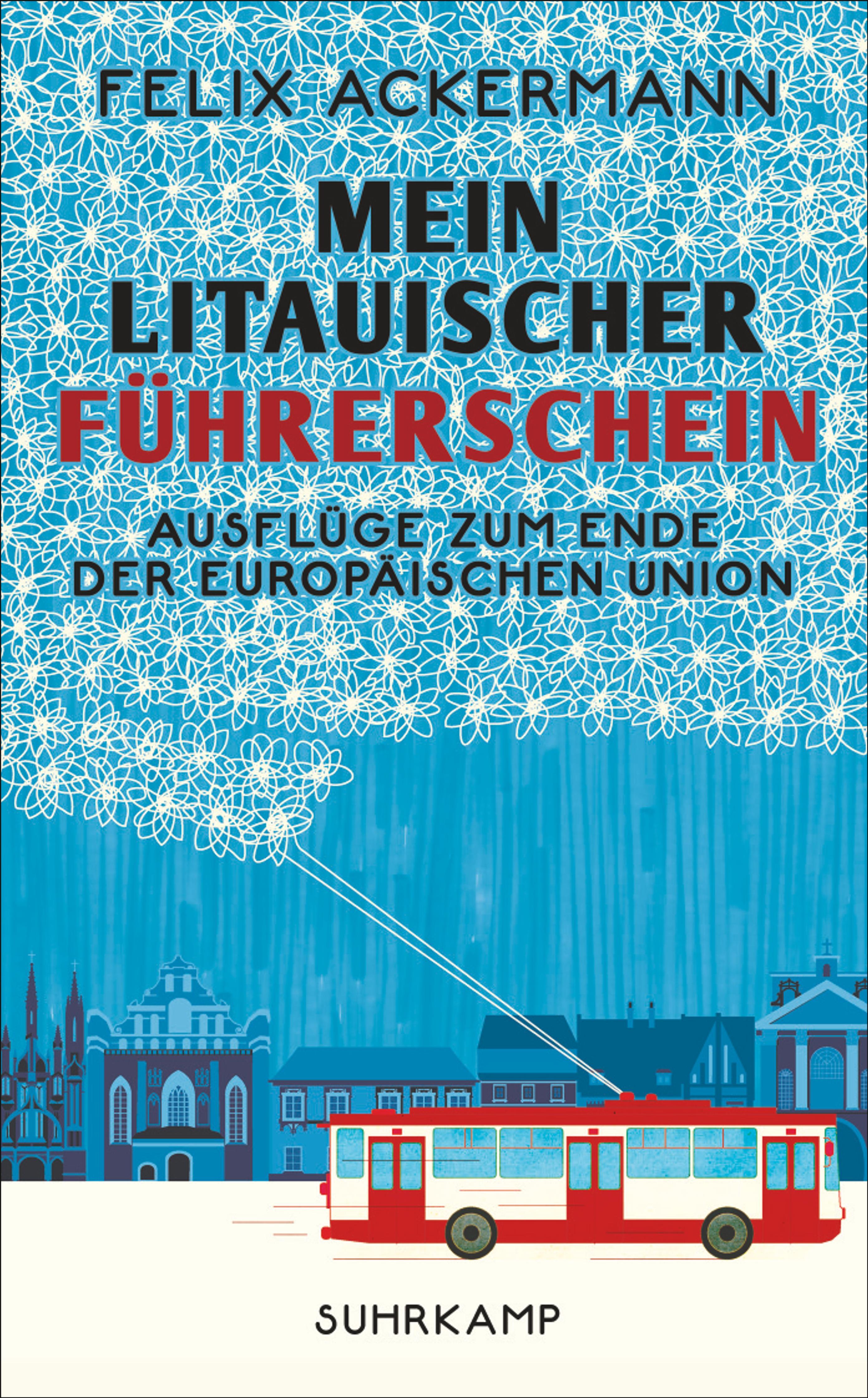 Vorderes Coverbild Mein litauischer Führerschein