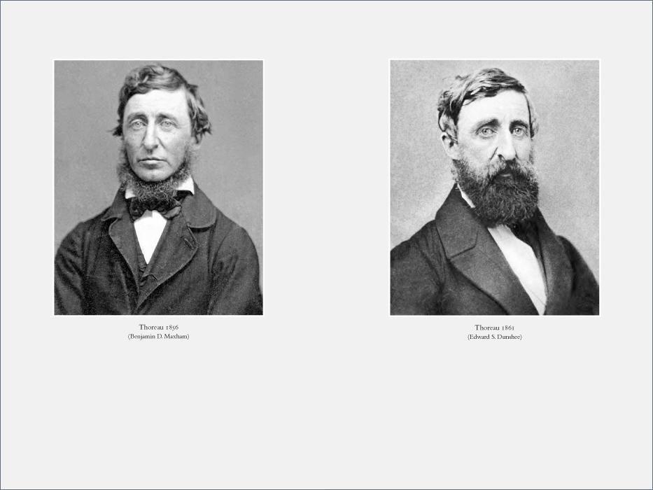 Beispielinhalt (Bild) Henry David Thoreau