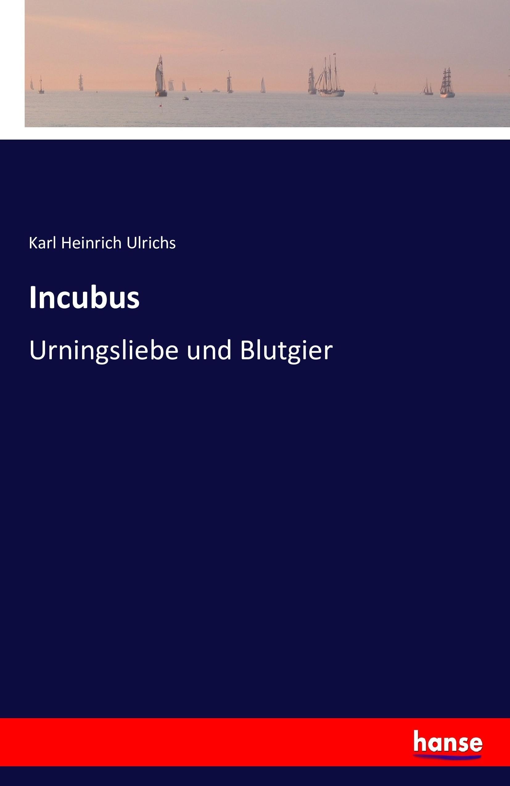 Vorderes Coverbild Incubus