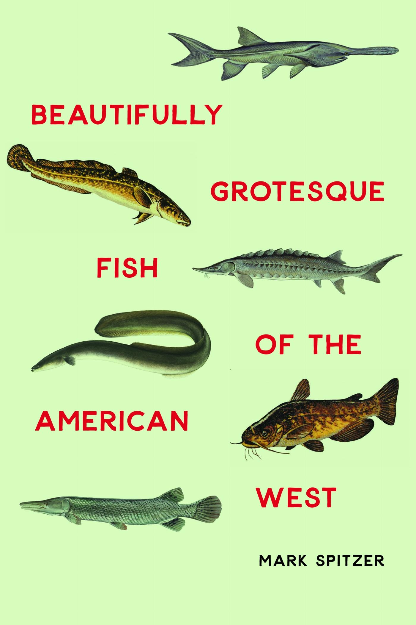 Vorderes Coverbild Beautifully Grotesque Fish of the American West