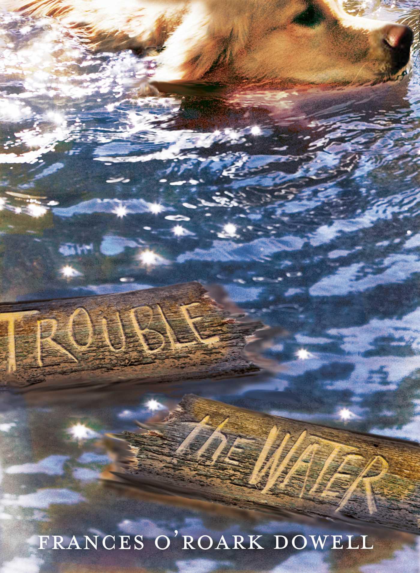 Vorderes Coverbild Trouble the Water