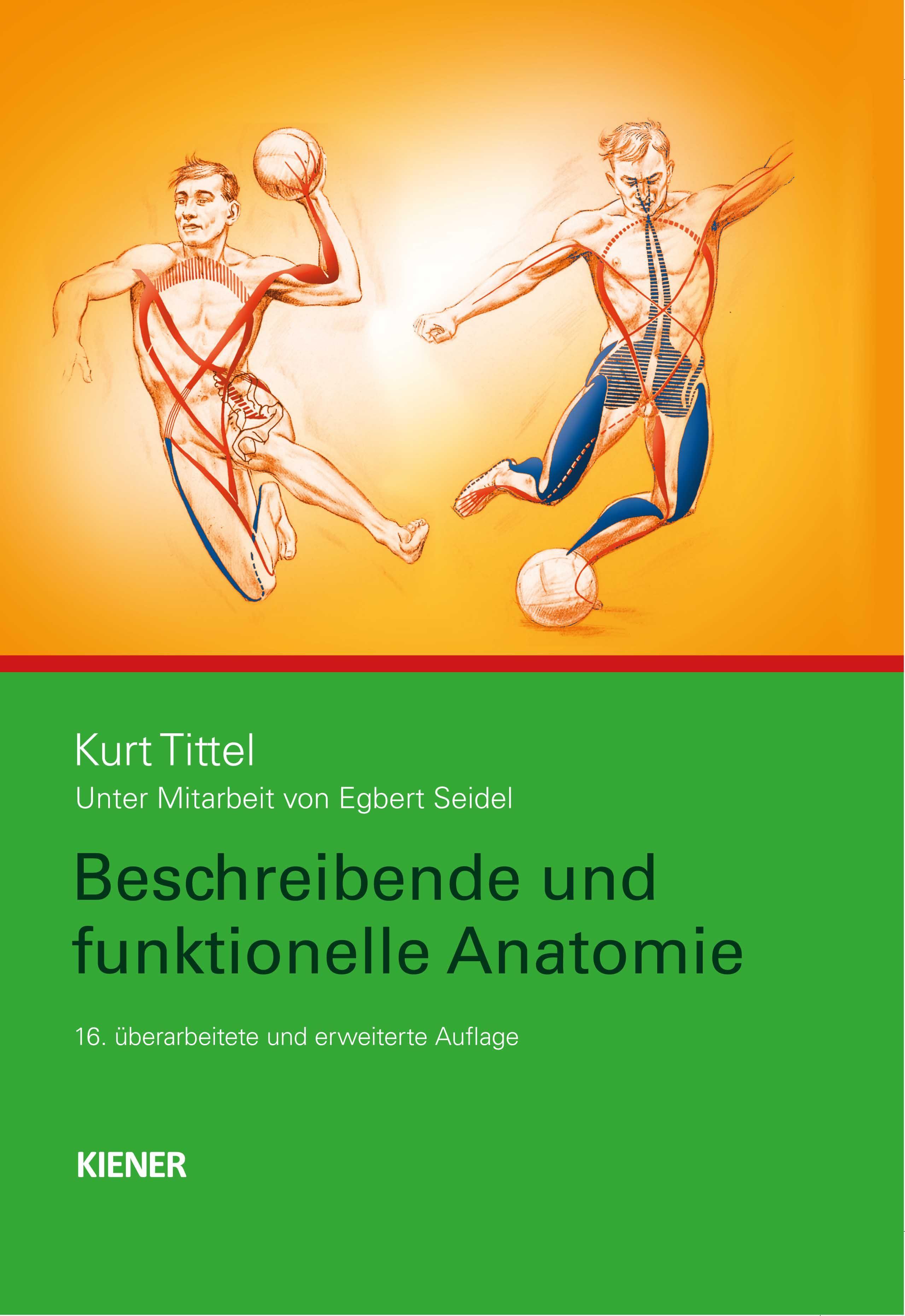 Vorderes Coverbild Beschreibende und funktionelle Anatomie