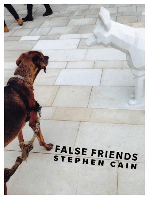 Vorderes Coverbild False Friends