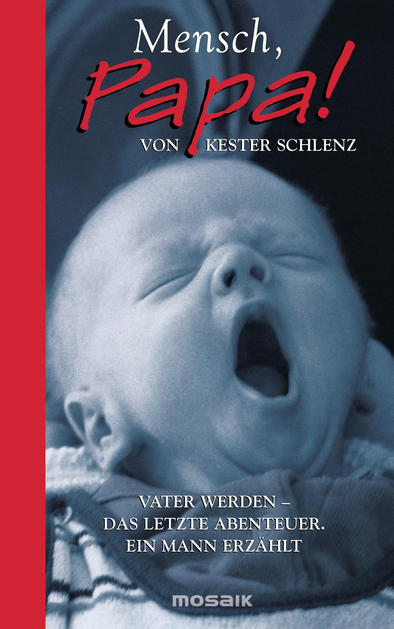 Vorderes Coverbild Mensch, Papa!