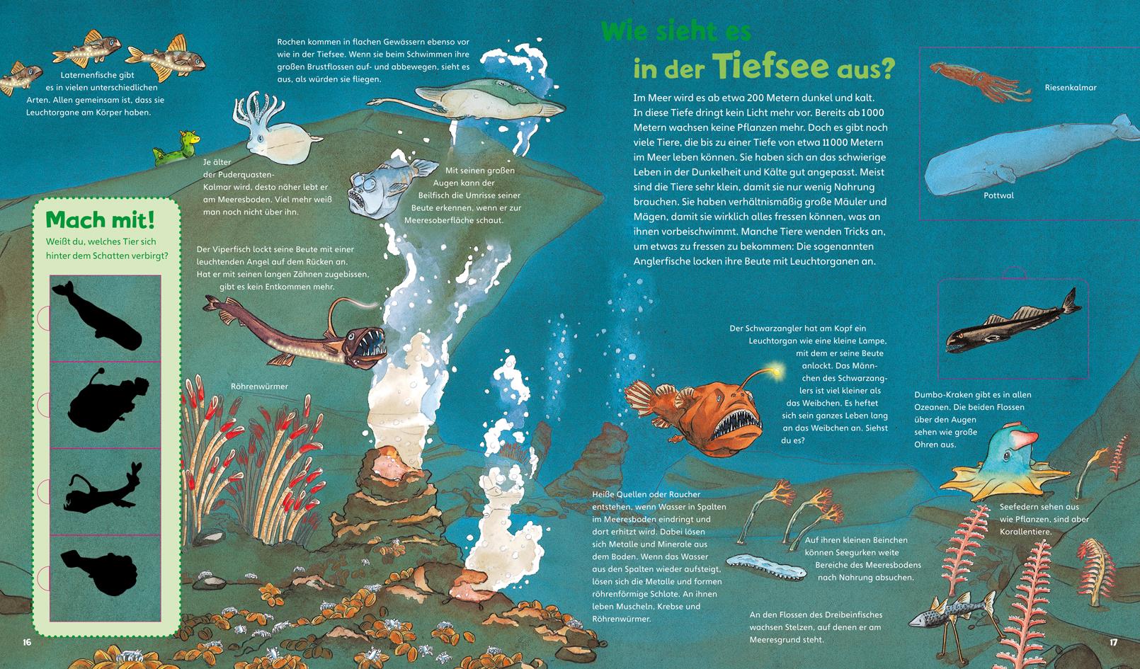 Beispielinhalt (Bild) WAS IST WAS Junior Band 17. Das Meer