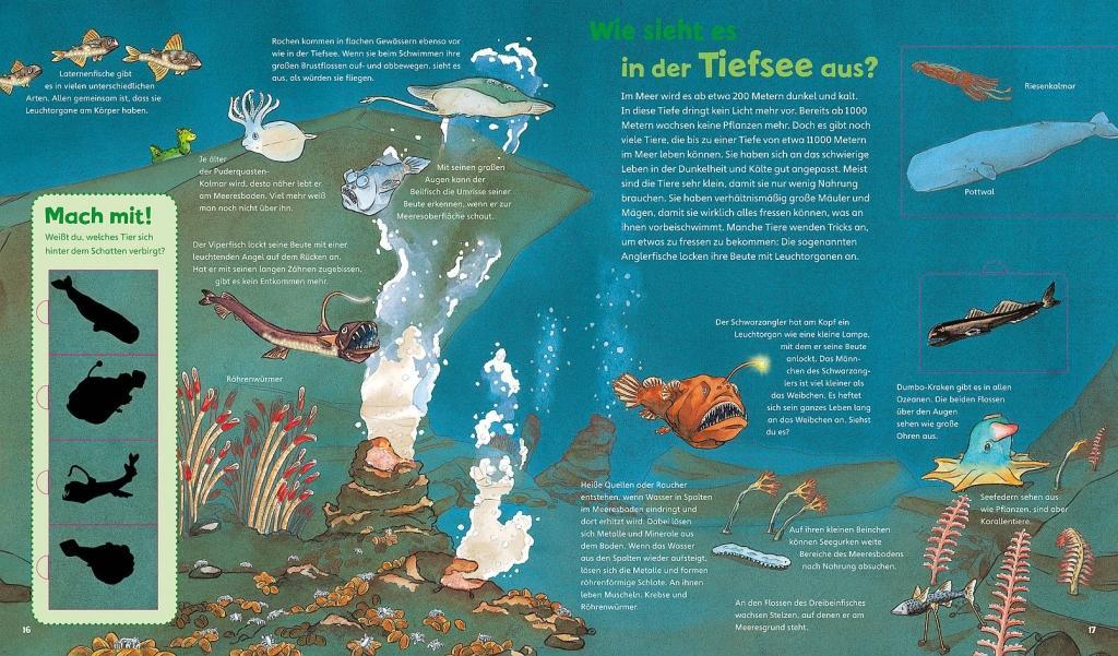 Beispielinhalt (Bild) WAS IST WAS Junior Band 17. Das Meer