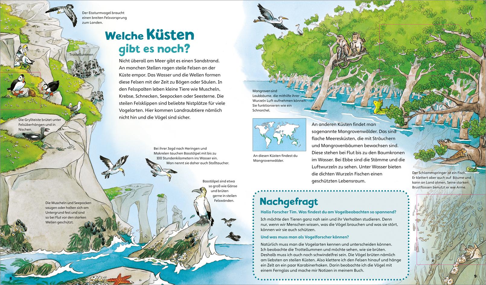 Beispielinhalt (Bild) WAS IST WAS Junior Band 17. Das Meer