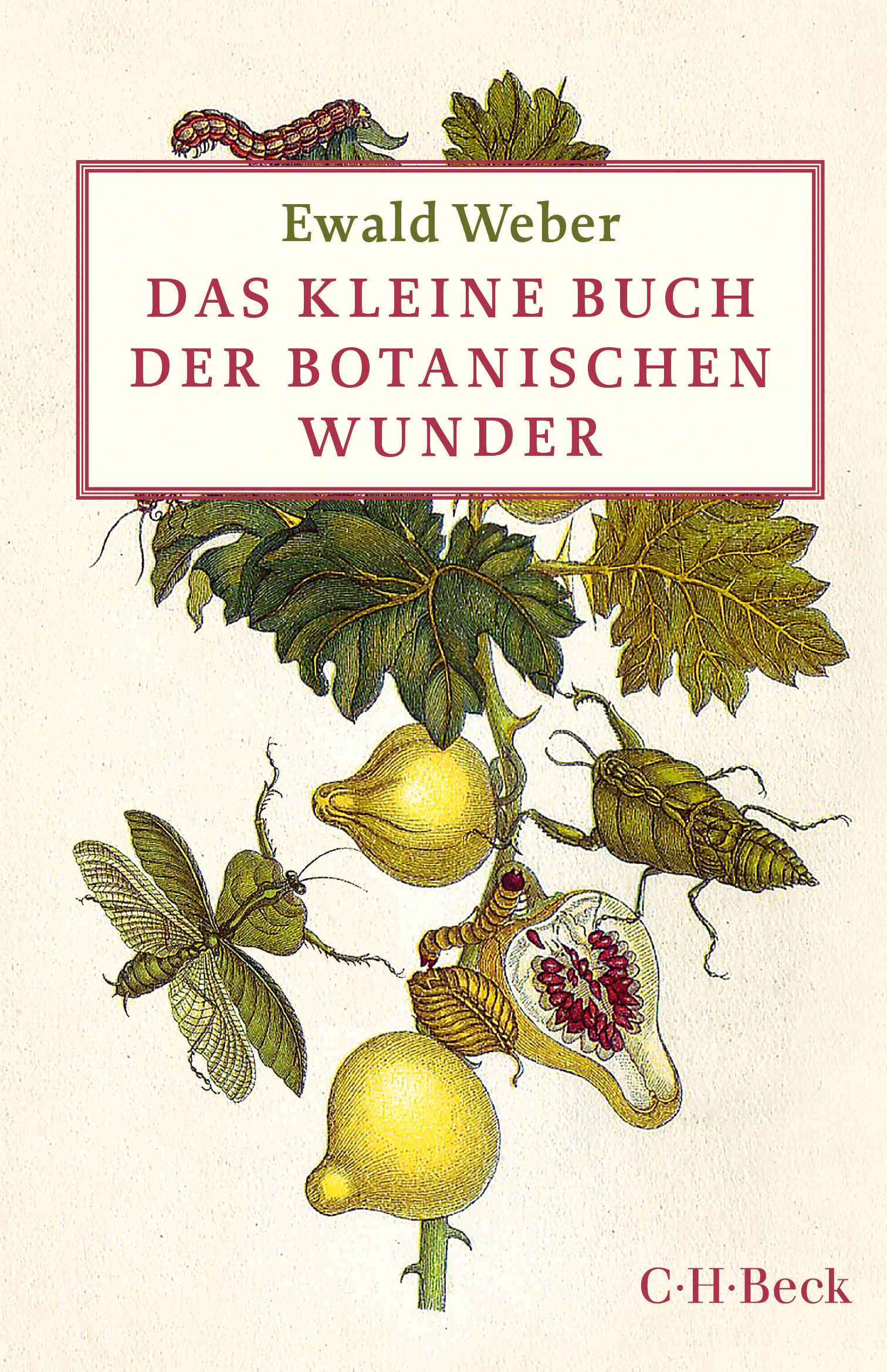 Vorderes Coverbild Das kleine Buch der botanischen Wunder