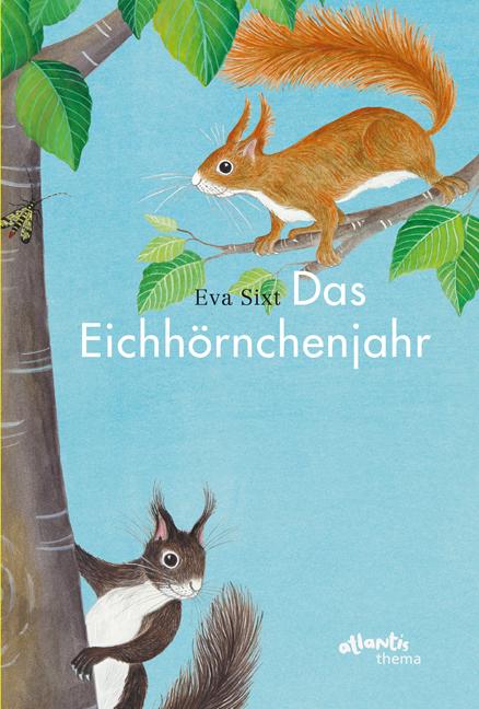 Vorderes Coverbild Das Eichhörnchenjahr