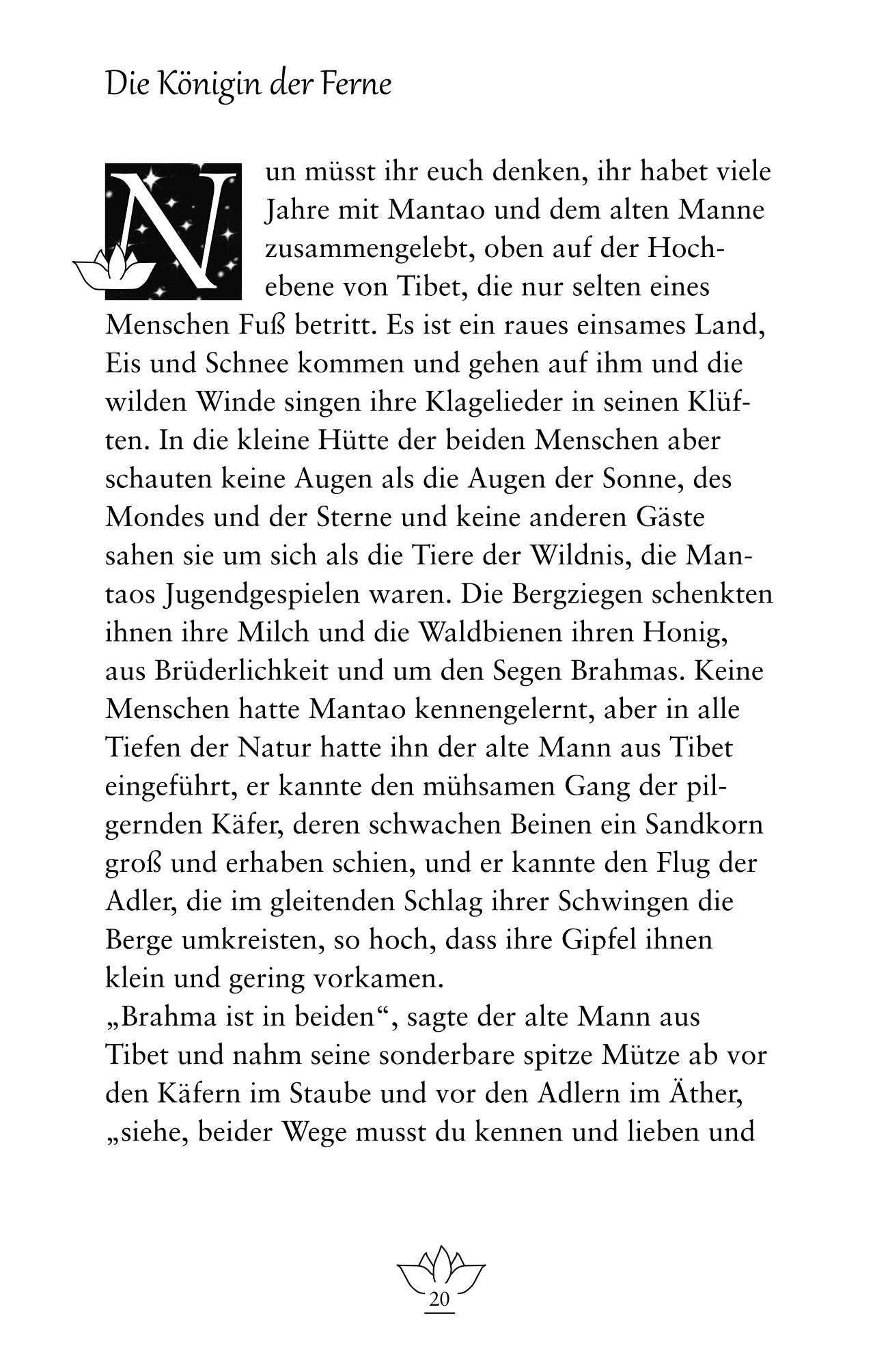 Beispielinhalt (Bild) Der Königsgaukler