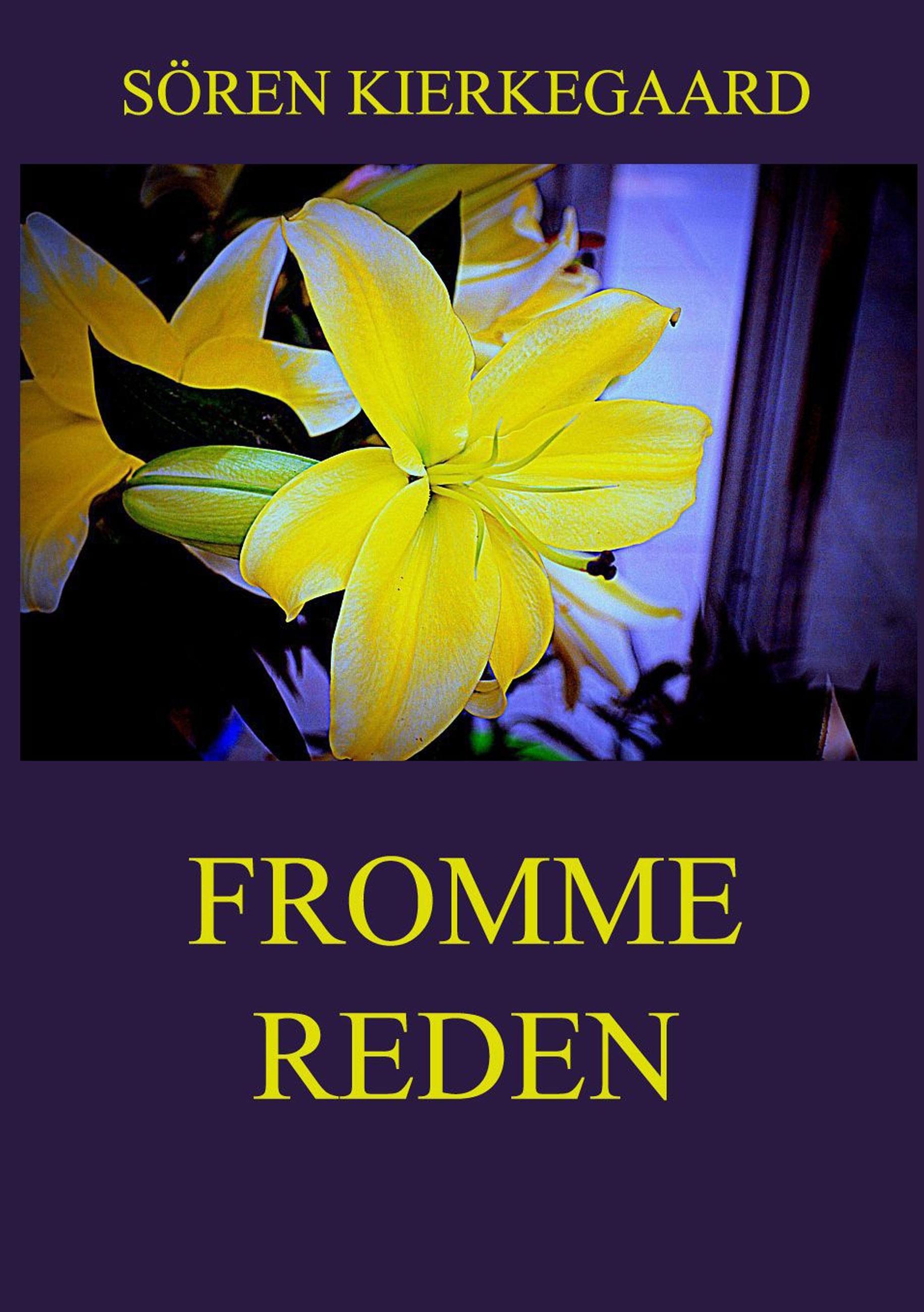 Vorderes Coverbild Fromme Reden