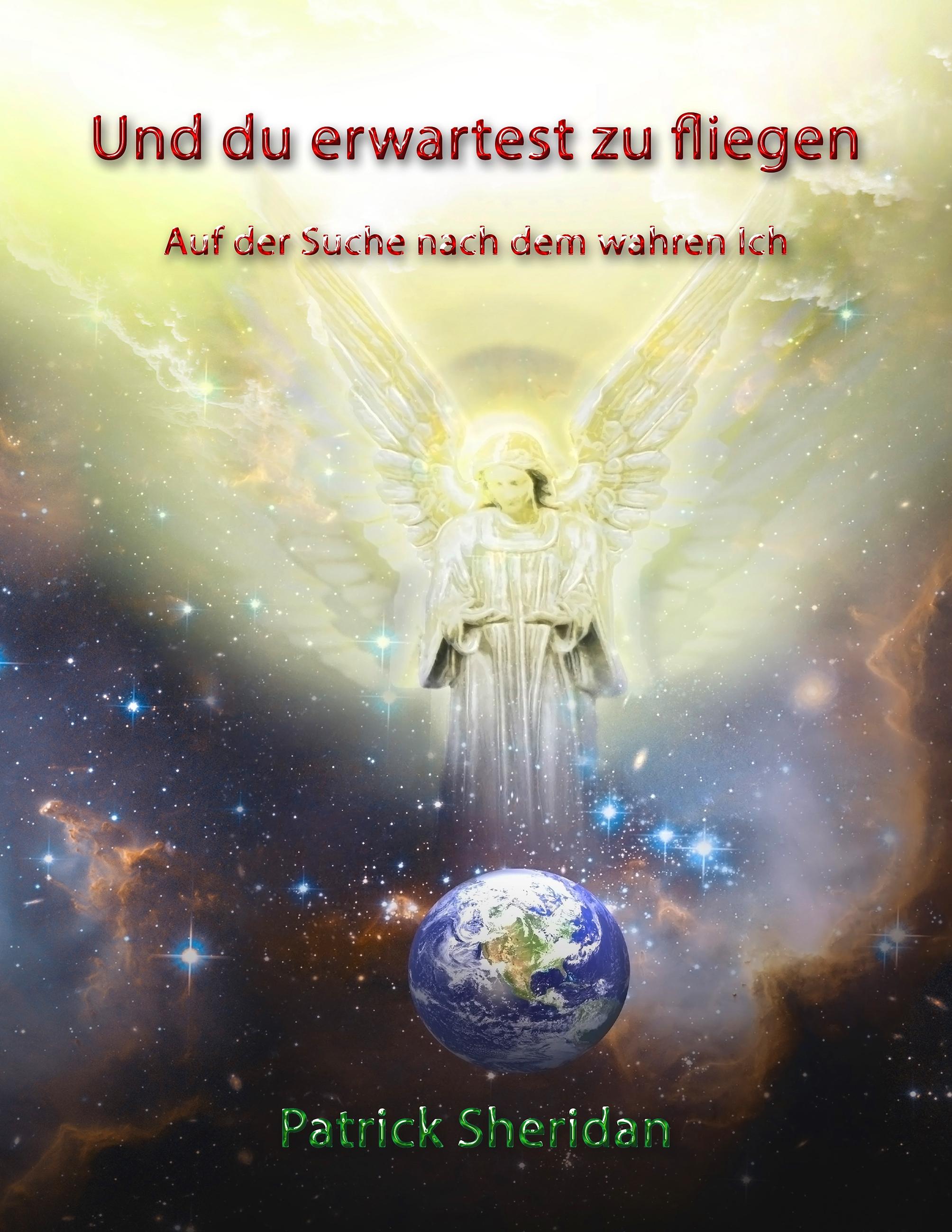 Vorderes Coverbild Und du erwartest zu fliegen