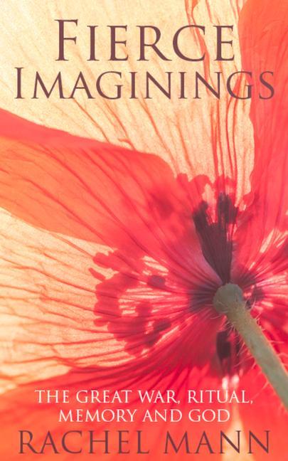 Vorderes Coverbild Fierce Imaginings